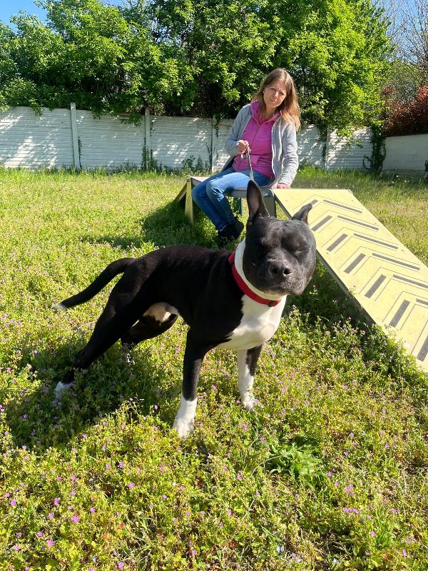 ZARA PIT BULL Foto 6